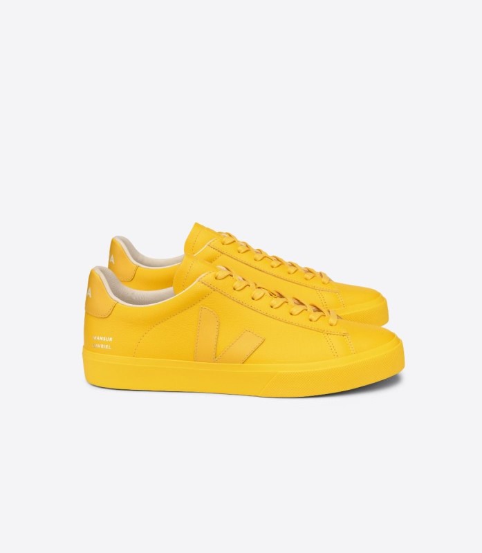 Special Veja X Mansur Gavriel Sunshine